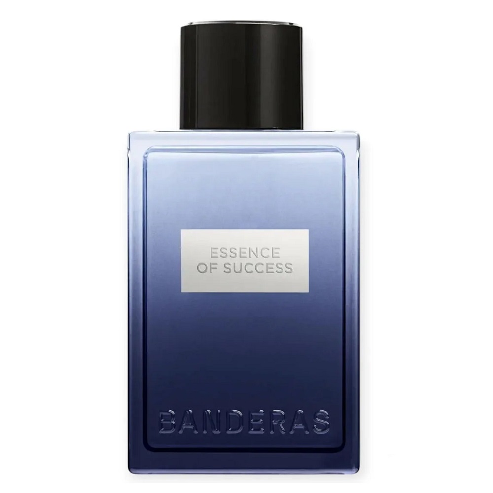 Essence Of Success 100 ml