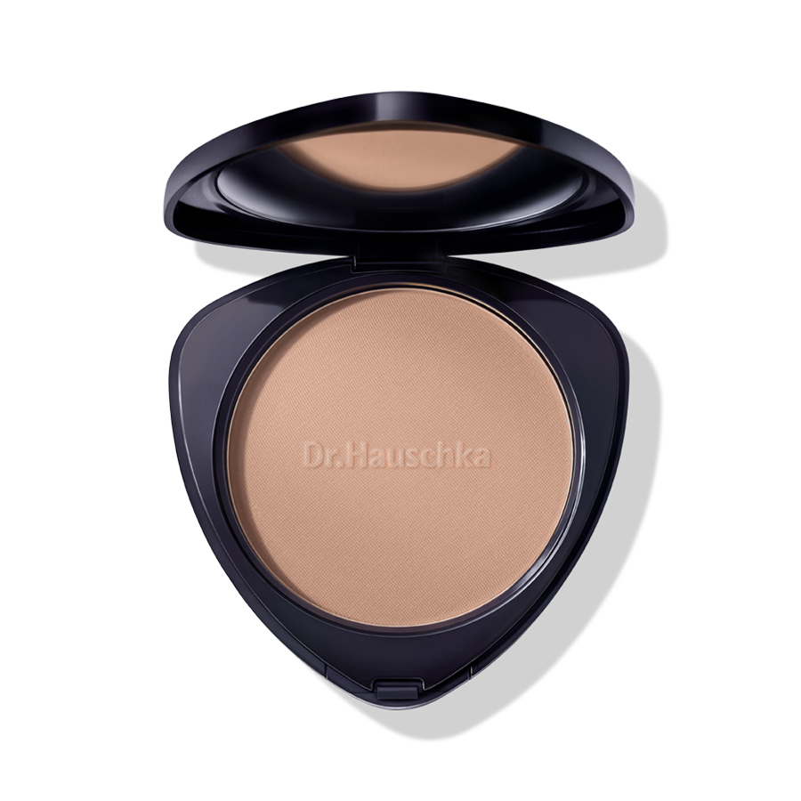 Bronzing Powder Pressed Bronze Powder 01 Bronze 10 g