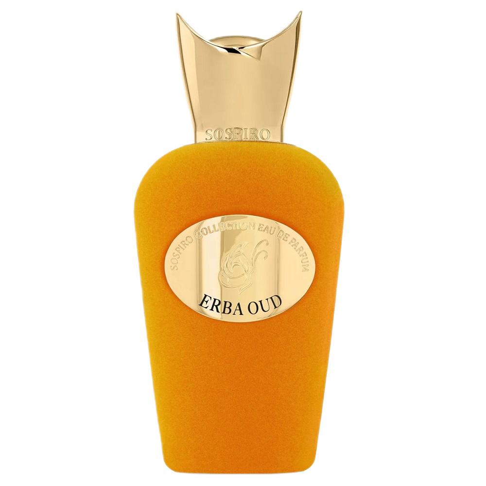 Erba Oud EDP Spray 100ml