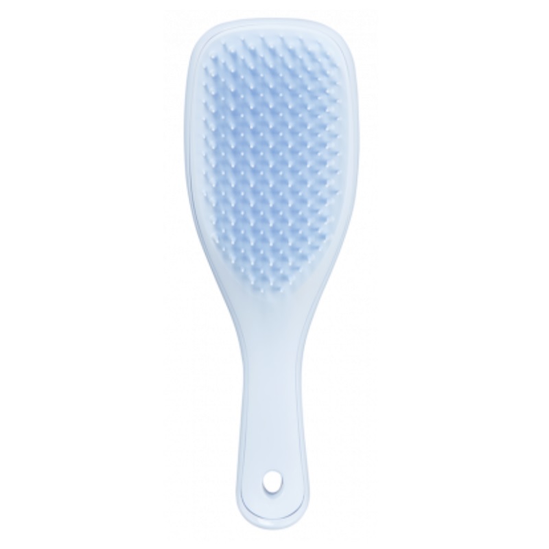 The Mini Ultimate Detangler