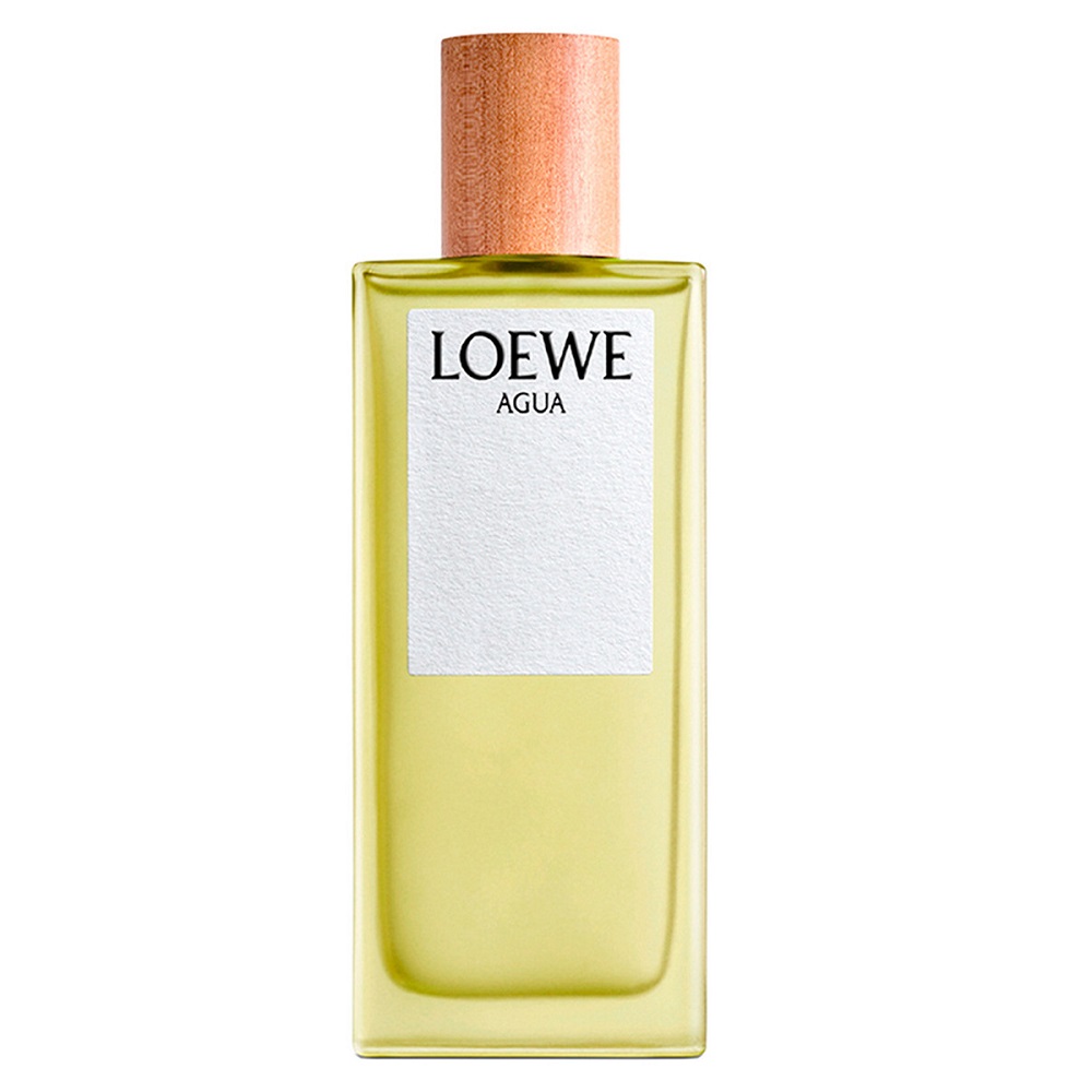 Agua 100 ml