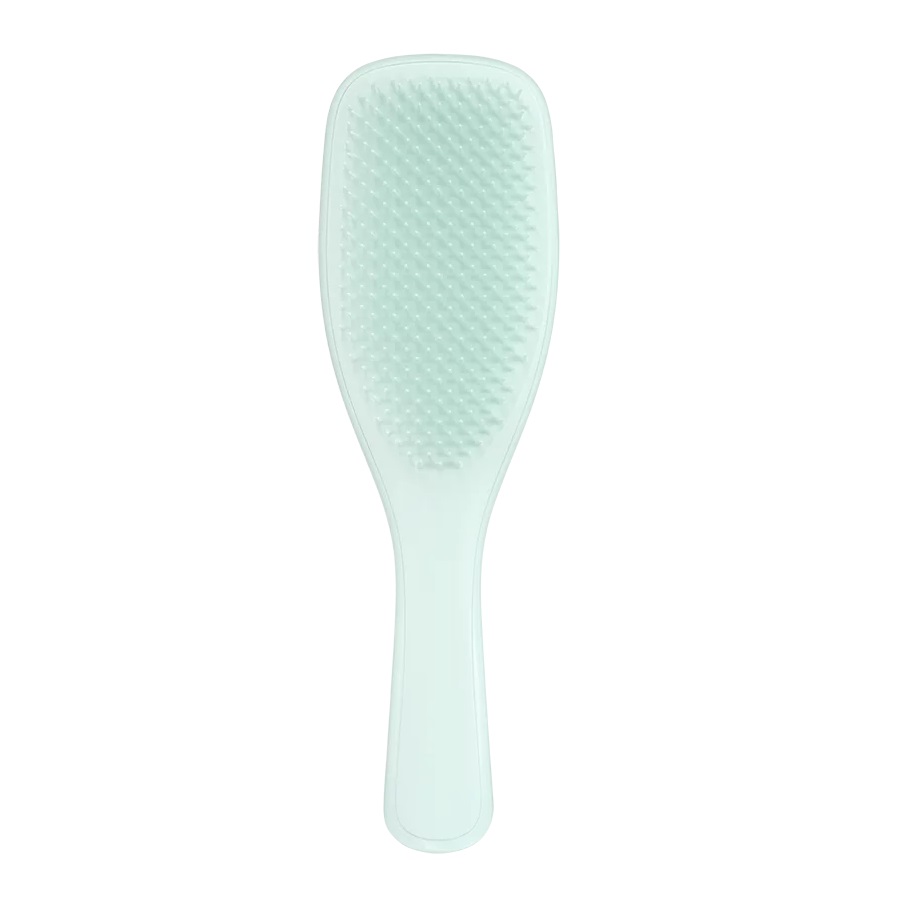 The Ultimate Detangler Fine & Fragile Ultimate Detangler Brush For Fine And Thin Hair Ice Blue